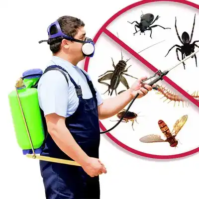 pest control Skidway Lake